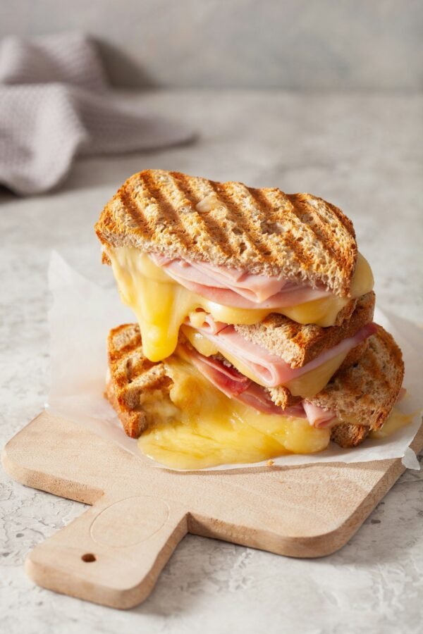 grilled ham and cheese sandwich